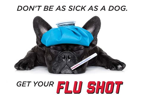 rfid chip flu shot|Free Flu Shots .